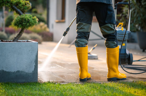 Local Pressure Washing Services in Quincy, IL